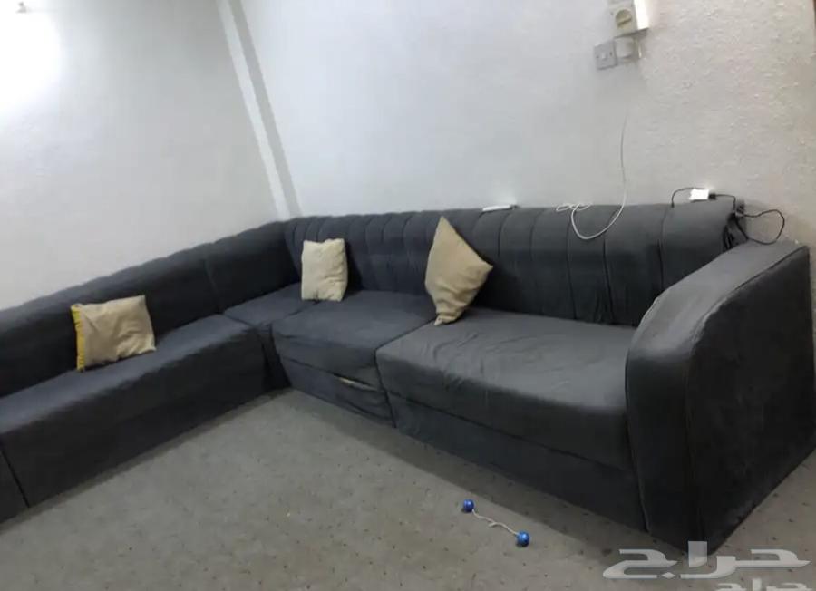 Sofa for sale with carpet63668450180099111