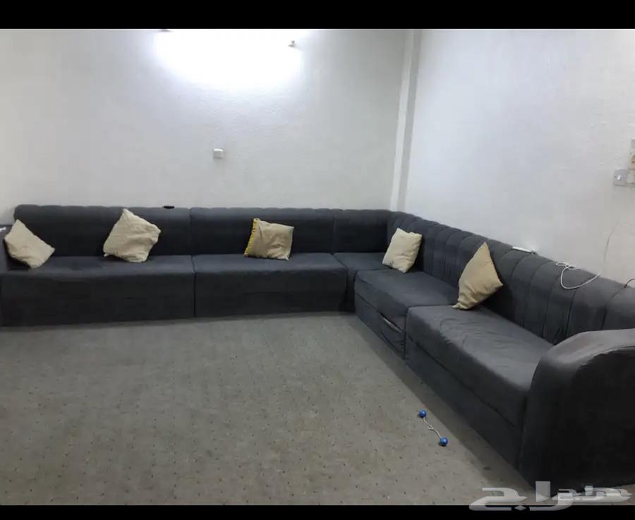 Sofa for sale with carpet63668450180099113