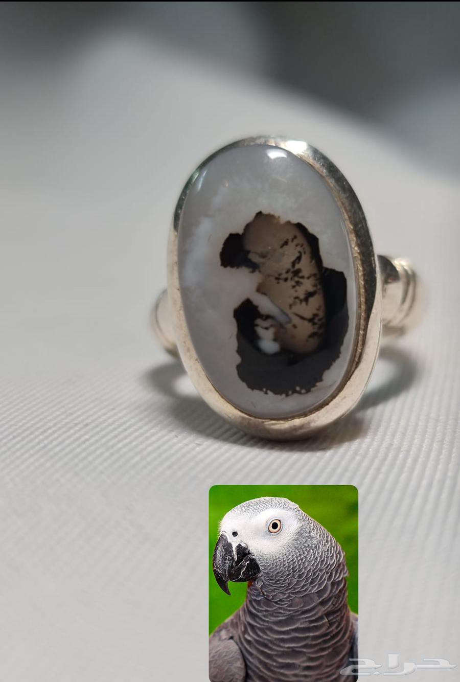 Yemeni Aqiq with Clear Image63675077343105110