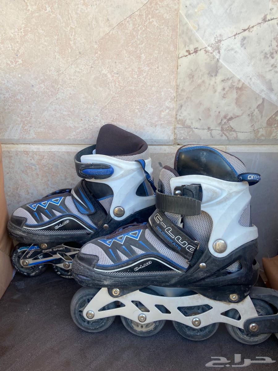 Skate Shoe63671318394370110