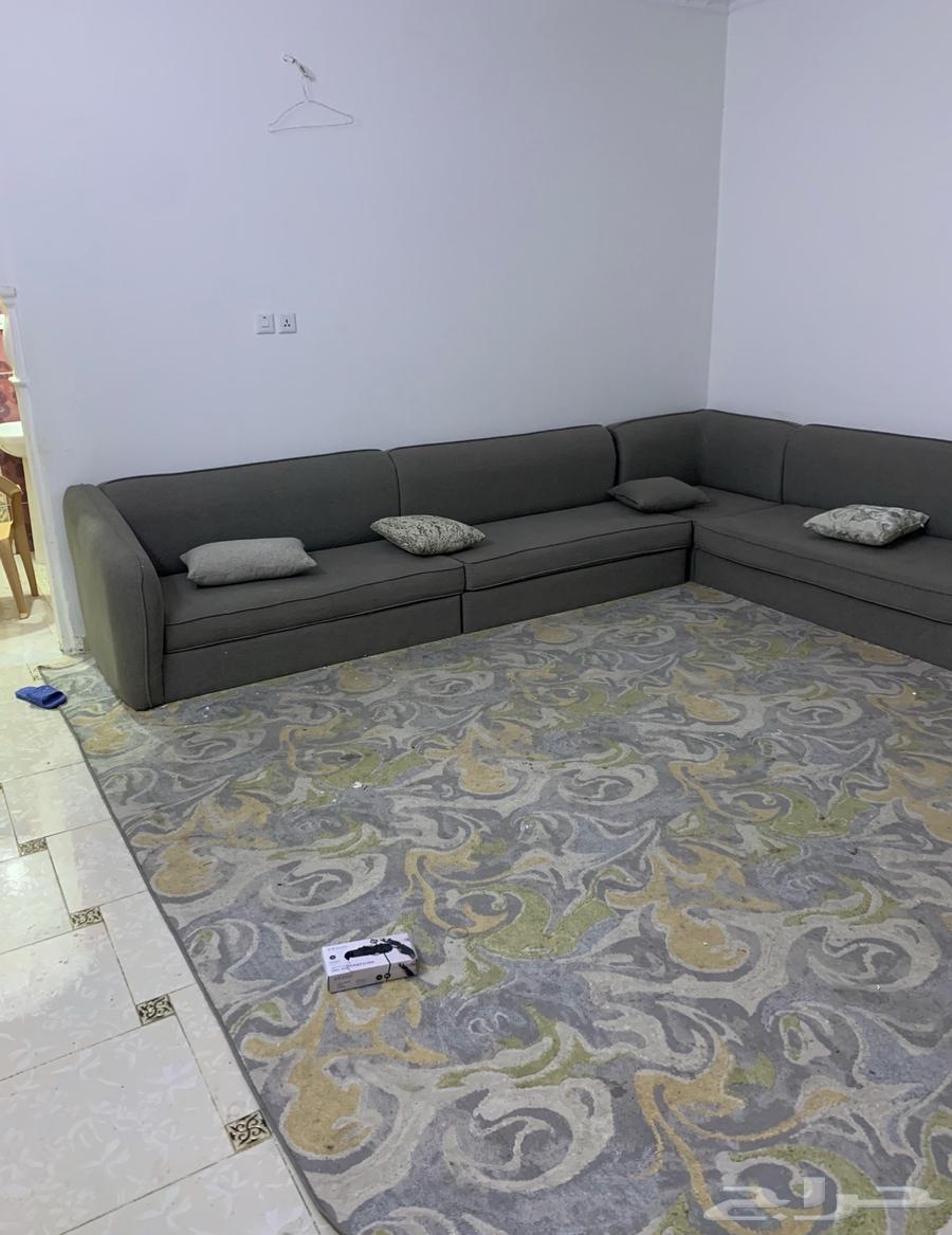 للبيع كنب بسعر 250 ريال63671231490435112