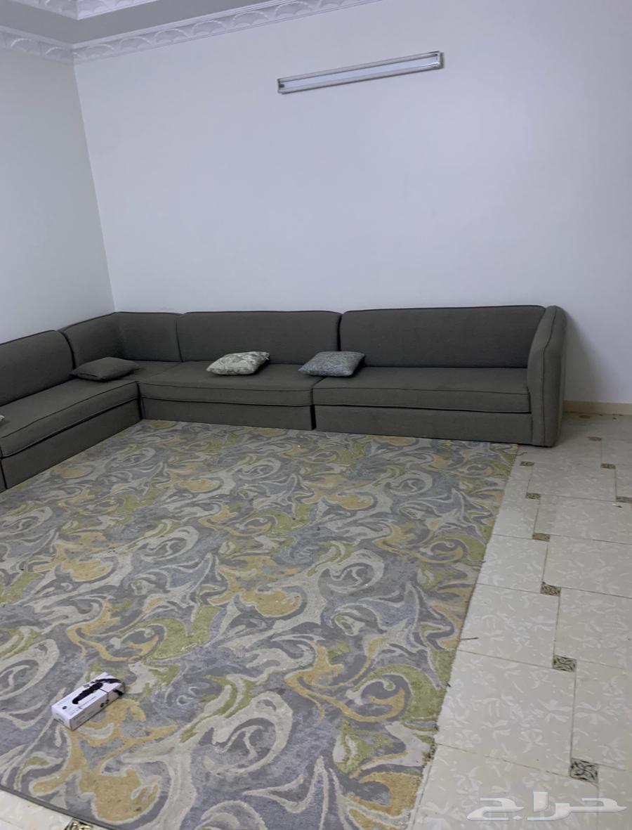 للبيع كنب بسعر 250 ريال63671231490435113