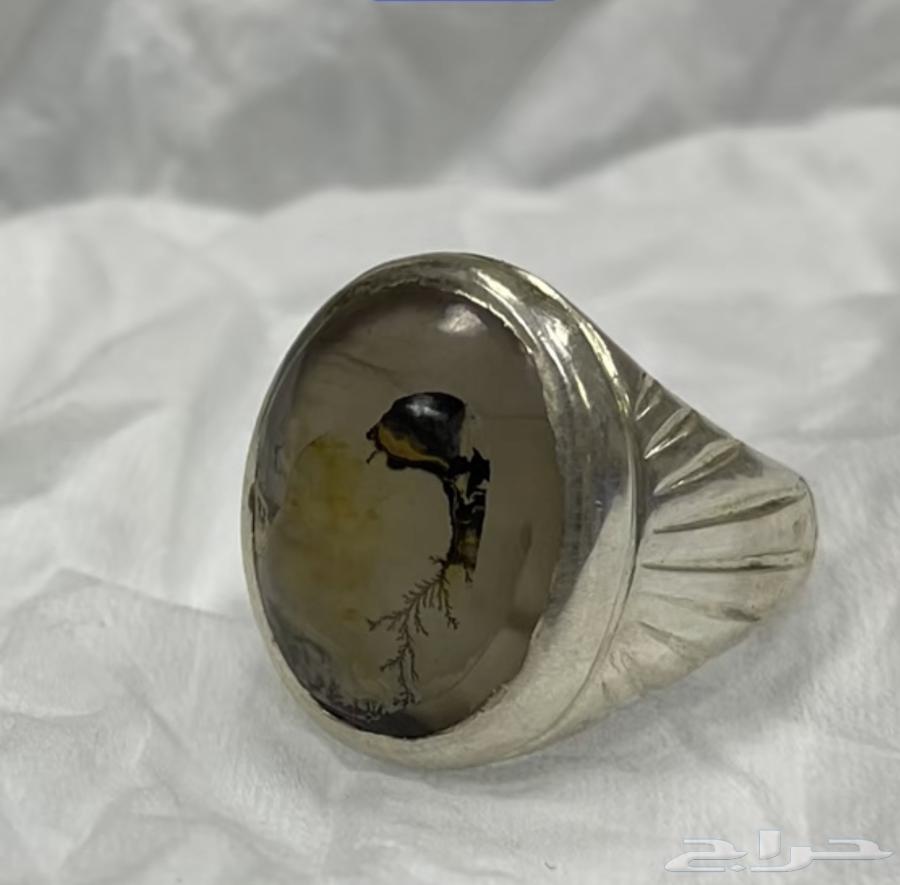 Natural Engraved Agate Ring with Snake Design63669370618497111