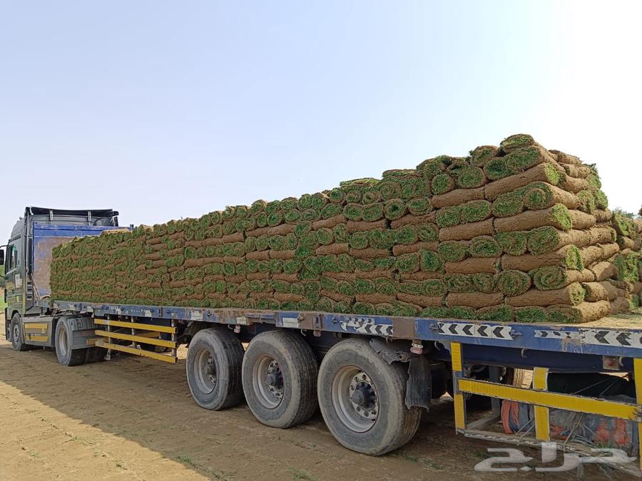 Green grass delivery63668731816321111