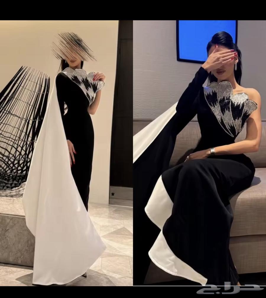 Luxurious and elegant dress63667809703427110