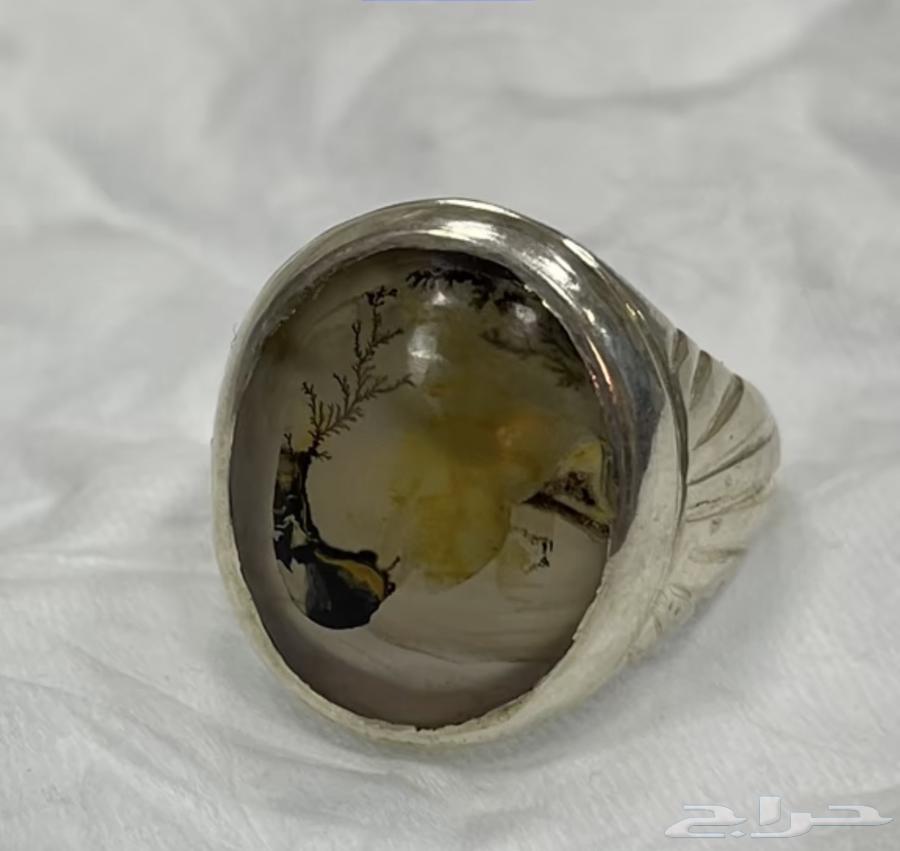 Natural Engraved Agate Ring with Snake Design63669370618497113