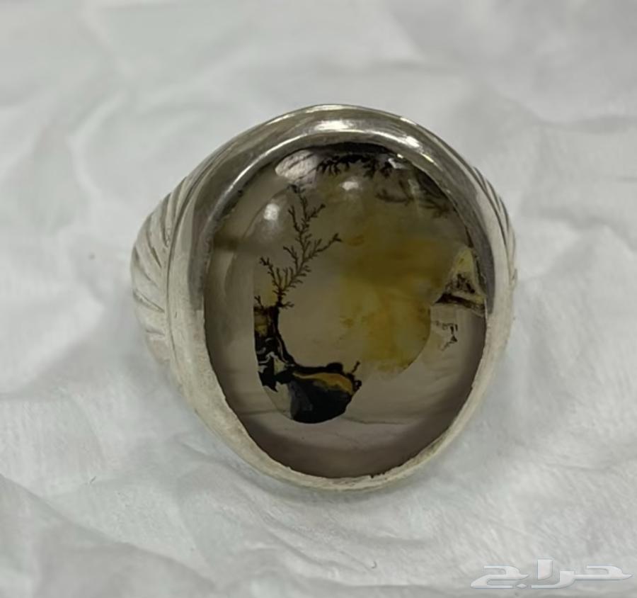 Natural Engraved Agate Ring with Snake Design63669370618497112