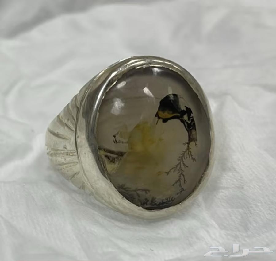 Natural Engraved Agate Ring with Snake Design63669370618497110
