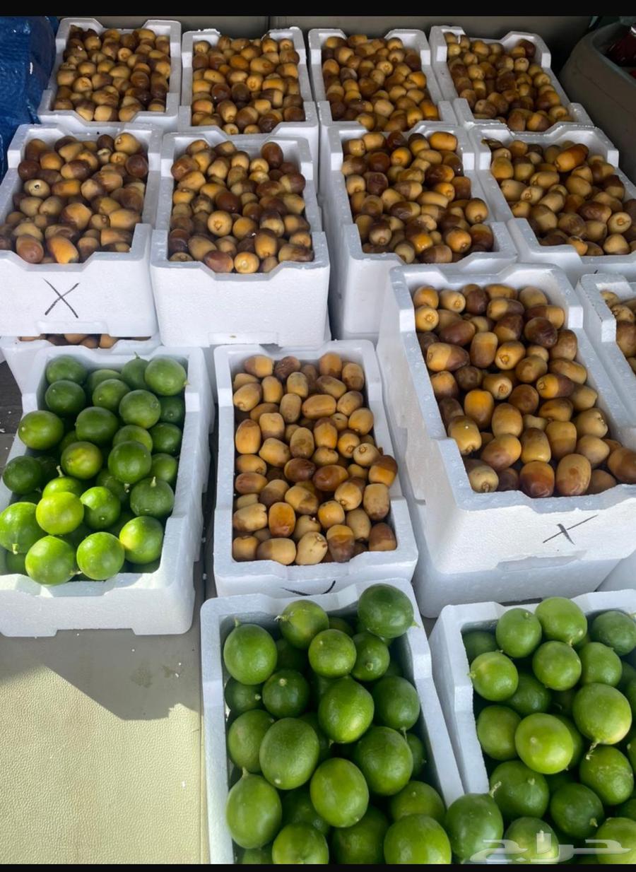 Clean Ruthana Dates, Medium Size, and Clean Lemons63674542942722110