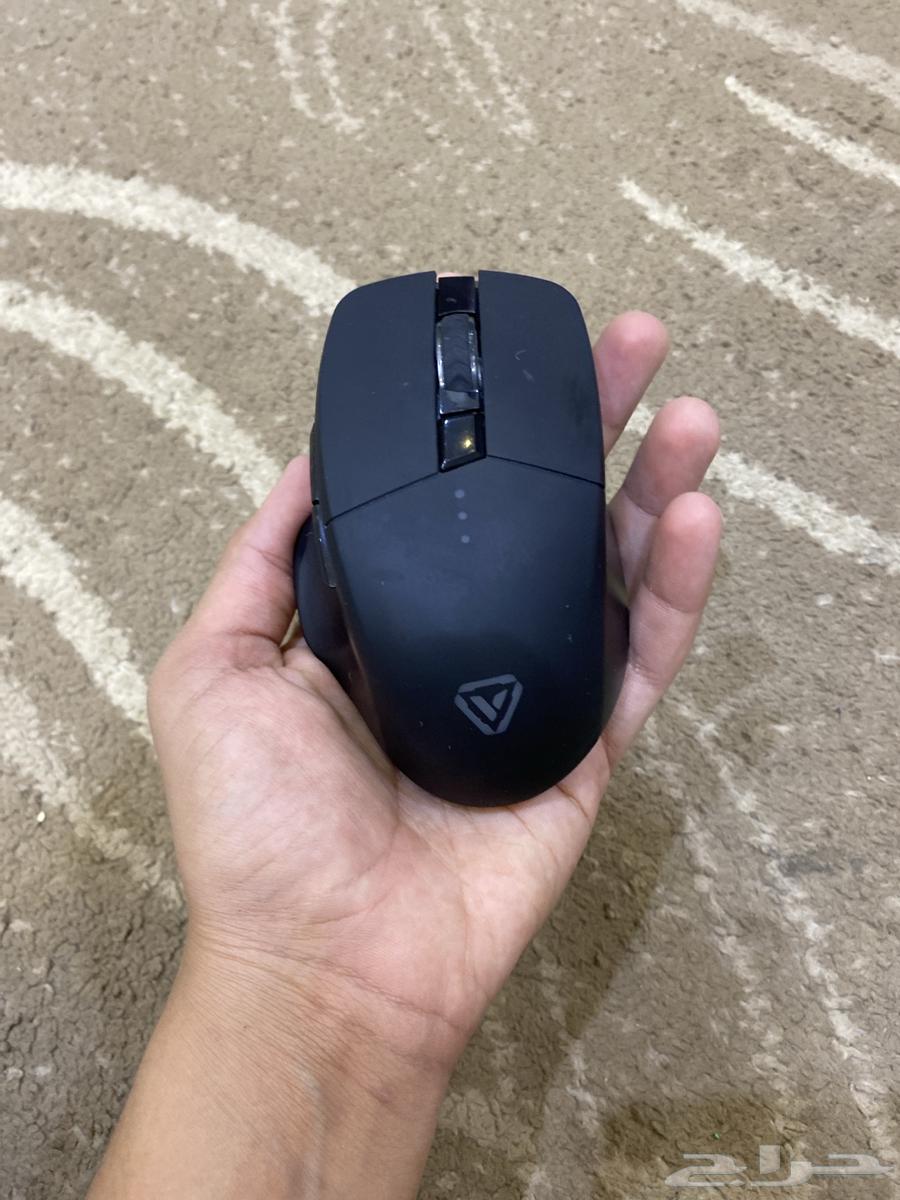 Mouse63675512958338111