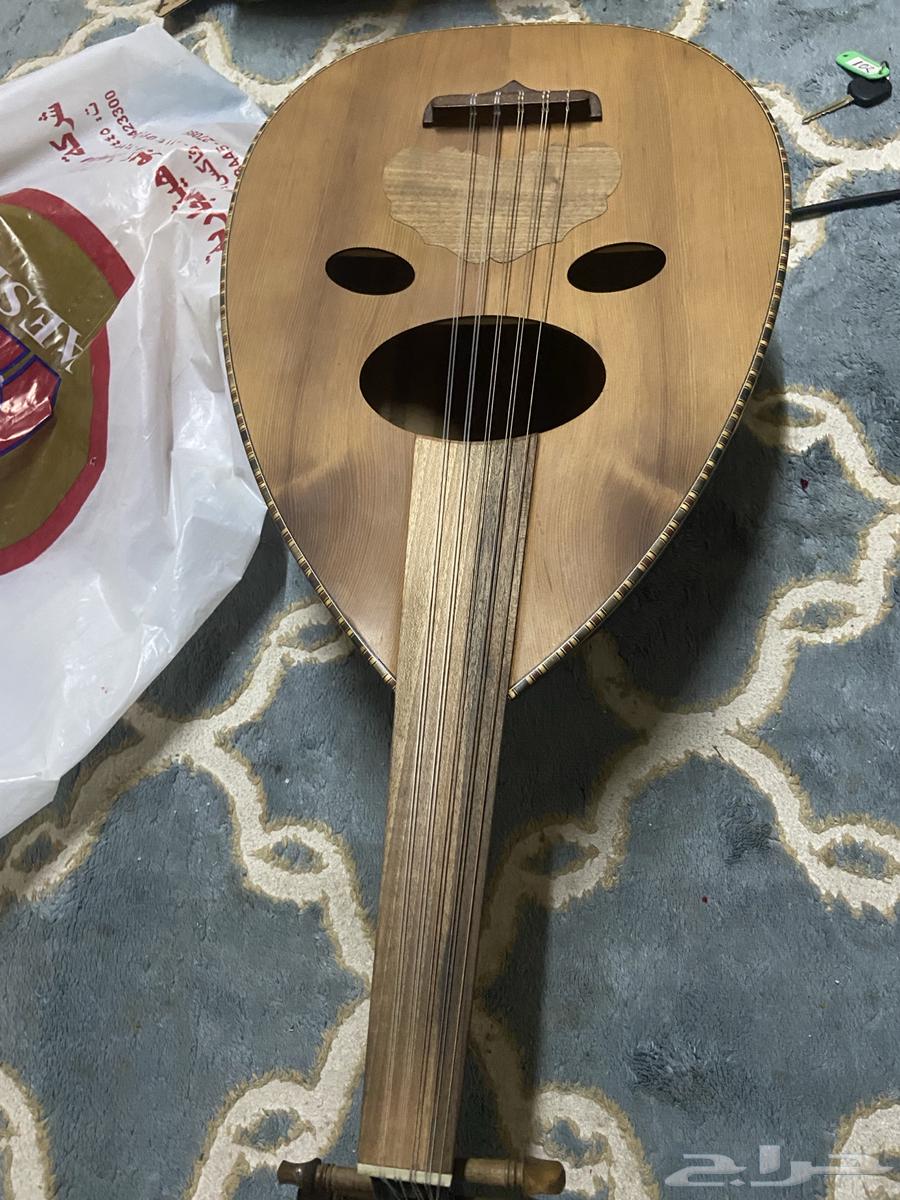 عود عراقي63672855325313110