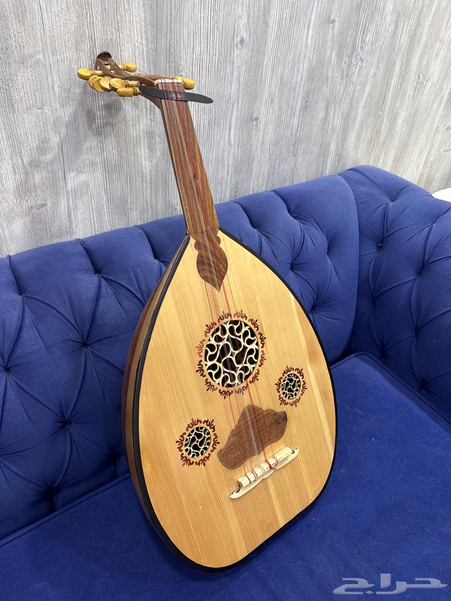 عود مصري63671056973826110