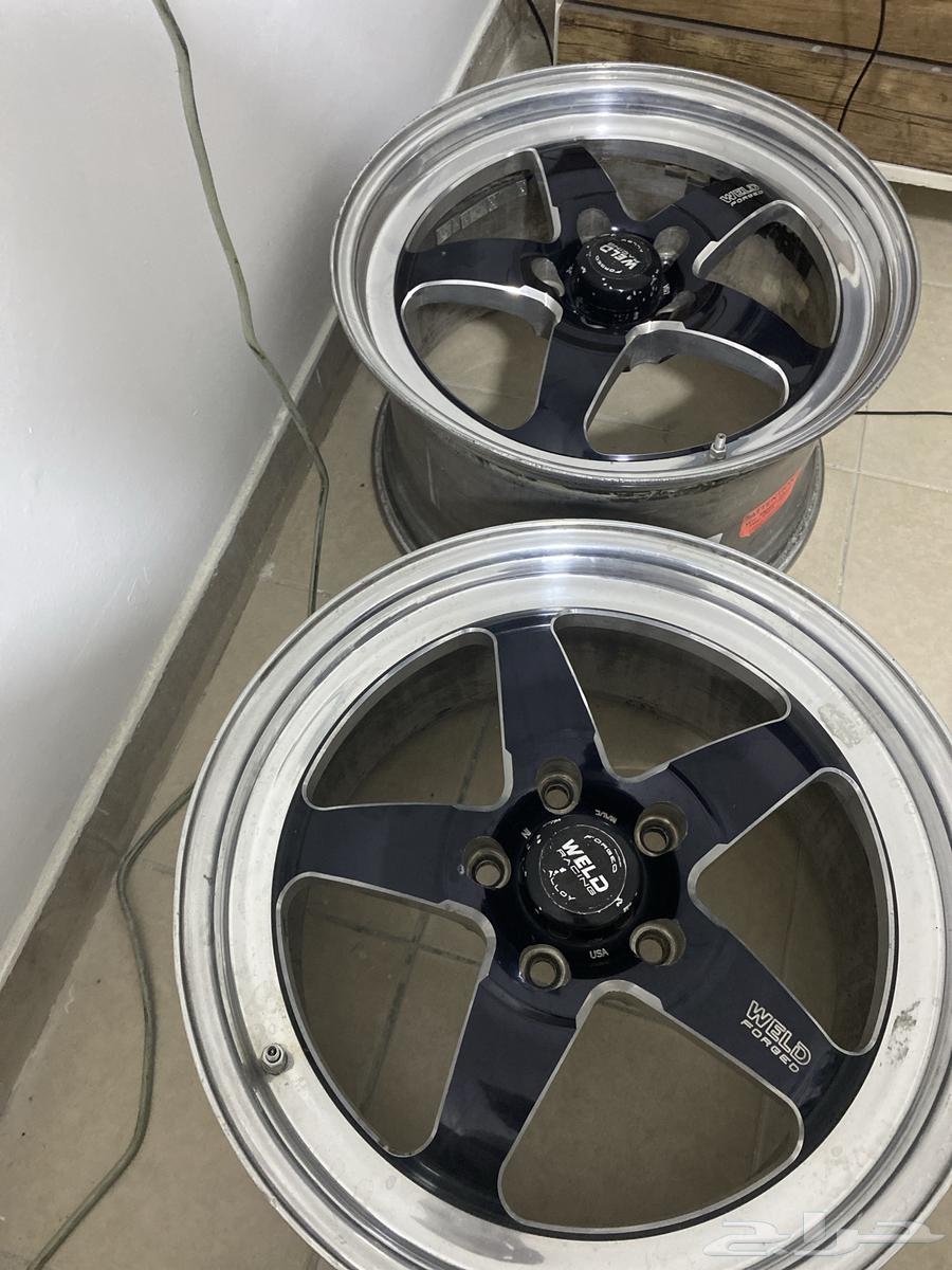 Original fillies for sale63672065857153110