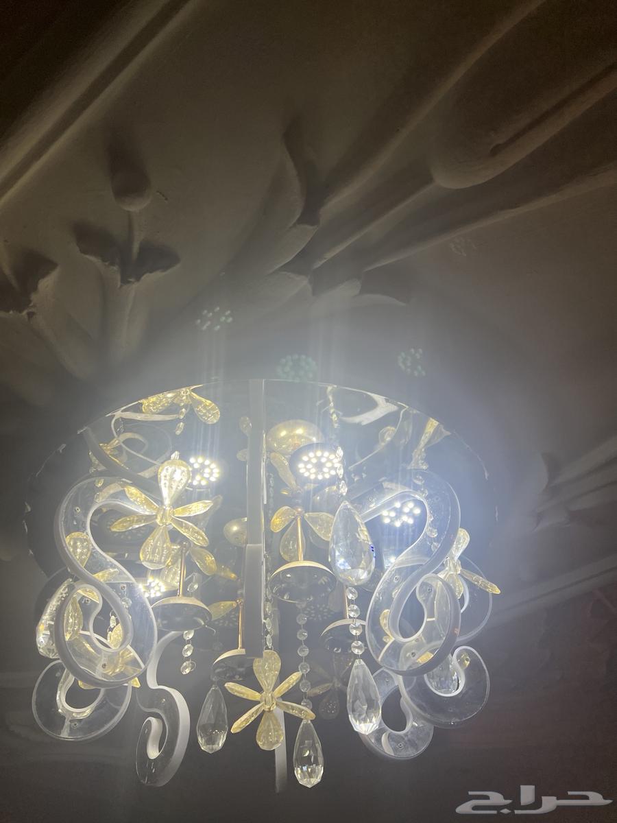 كنب63669370651266110