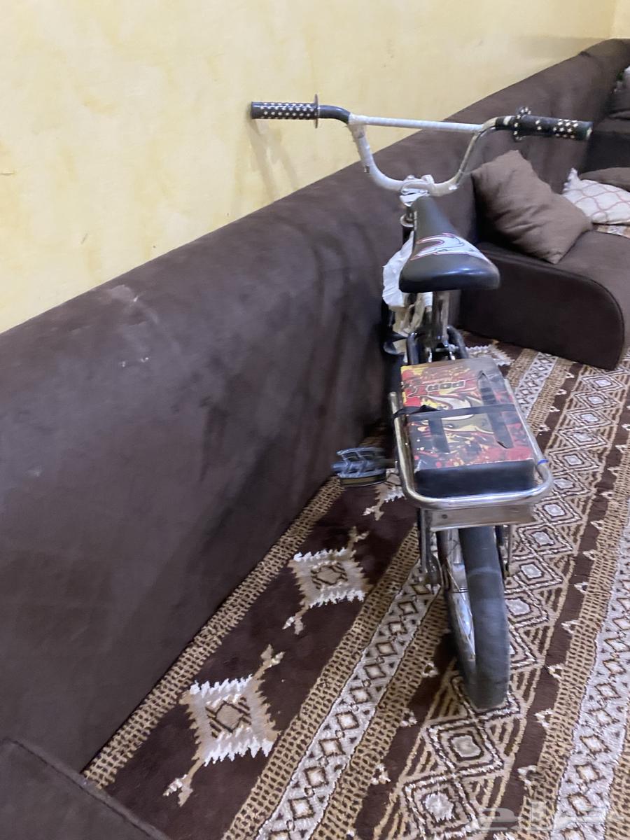رامبو صغير مستعمل صامل 15063675158247937110