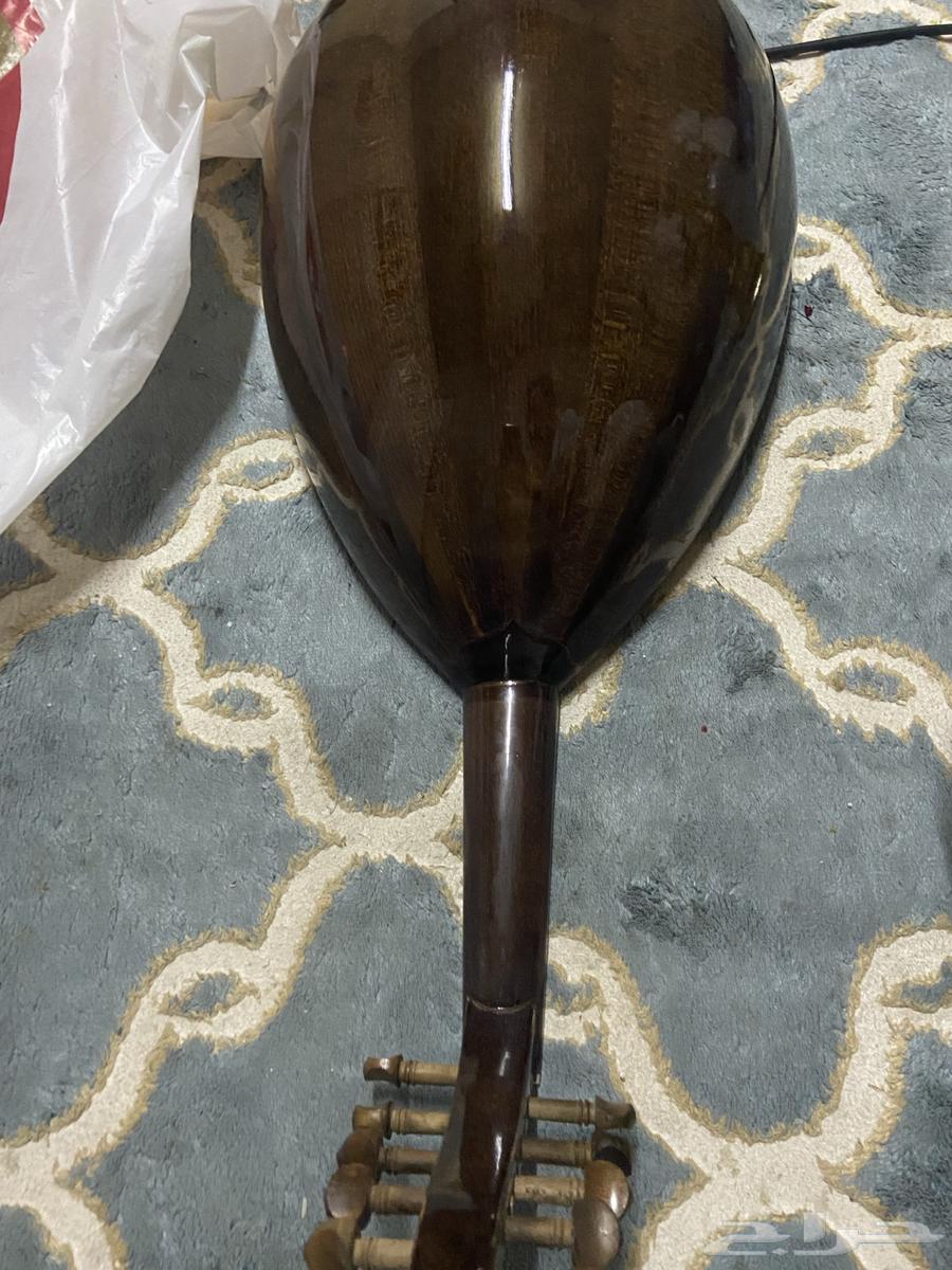عود عراقي63672855325313112