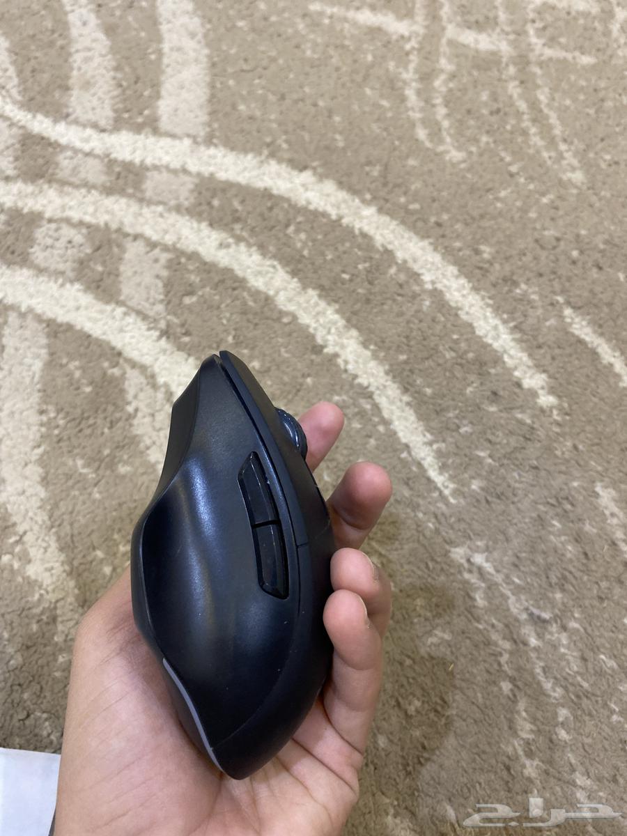 Mouse63675512958338112