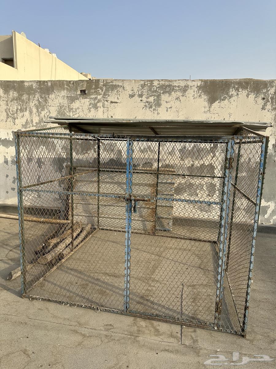 شبك او عشه63671411698690110