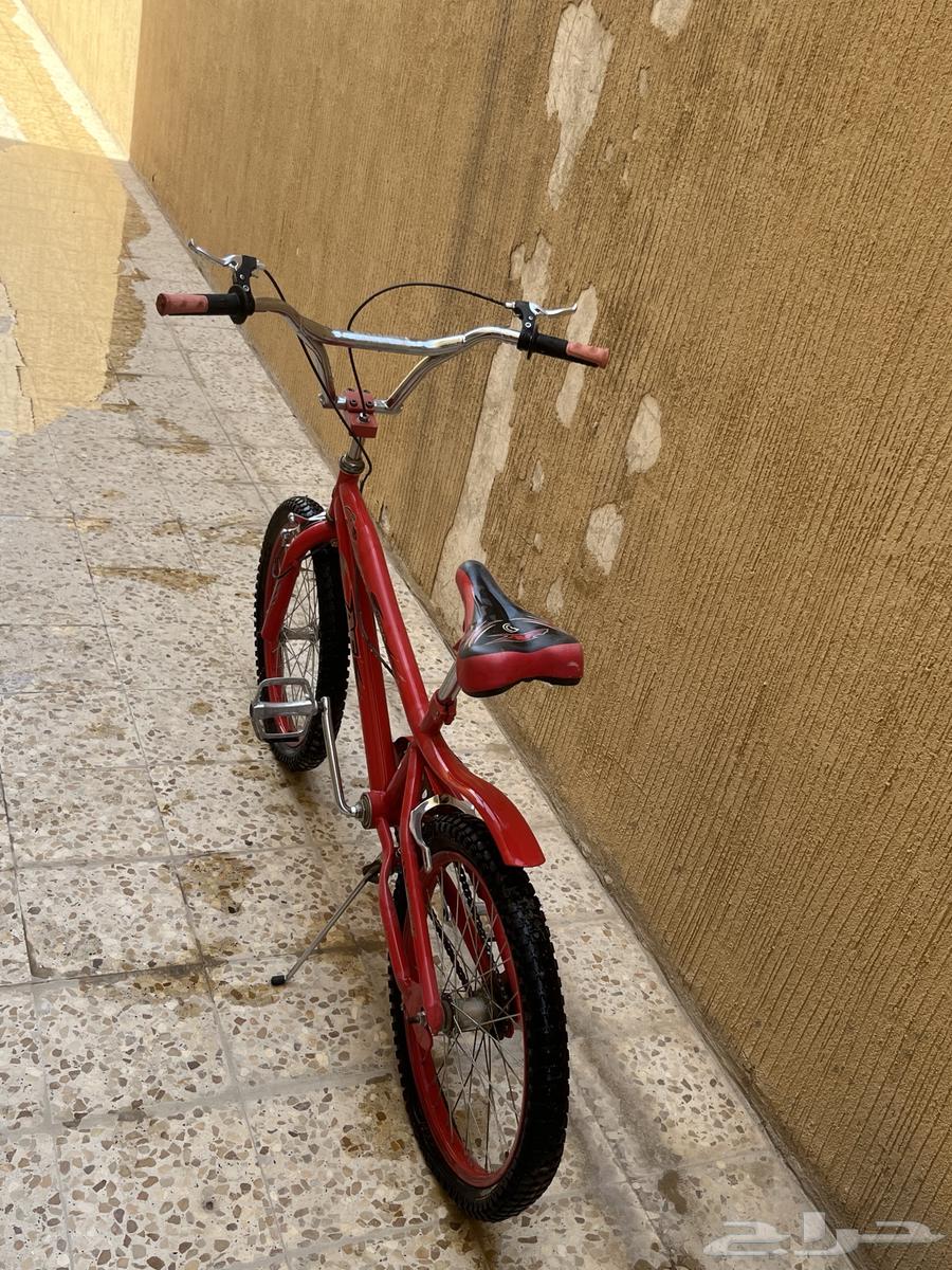 Cobra bicycle63668824074499112