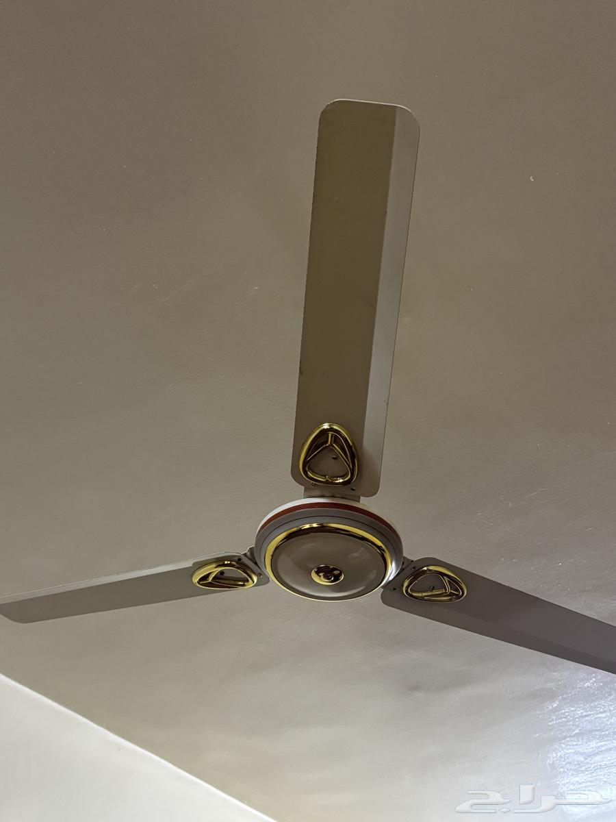 Two clean fans63672091029763110