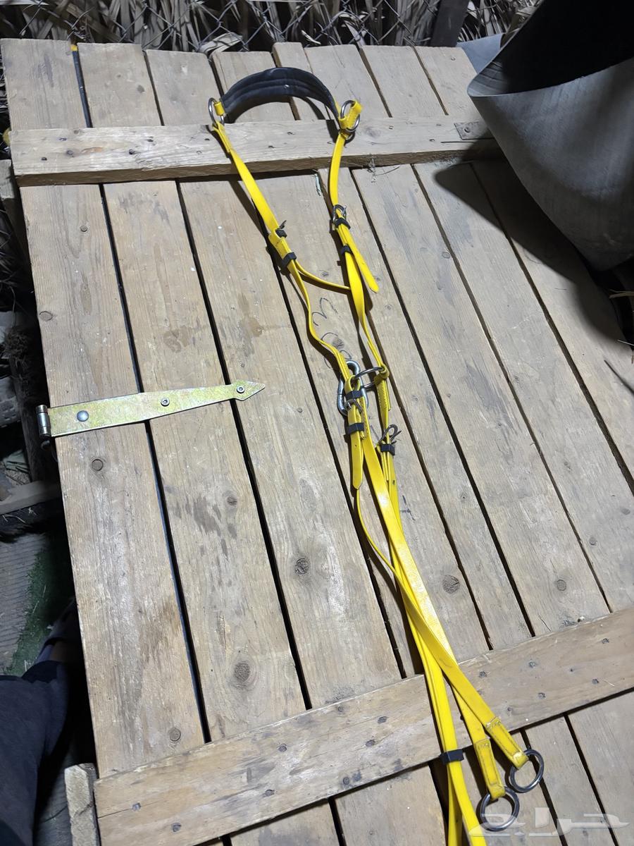 Used riding set63669282181378112