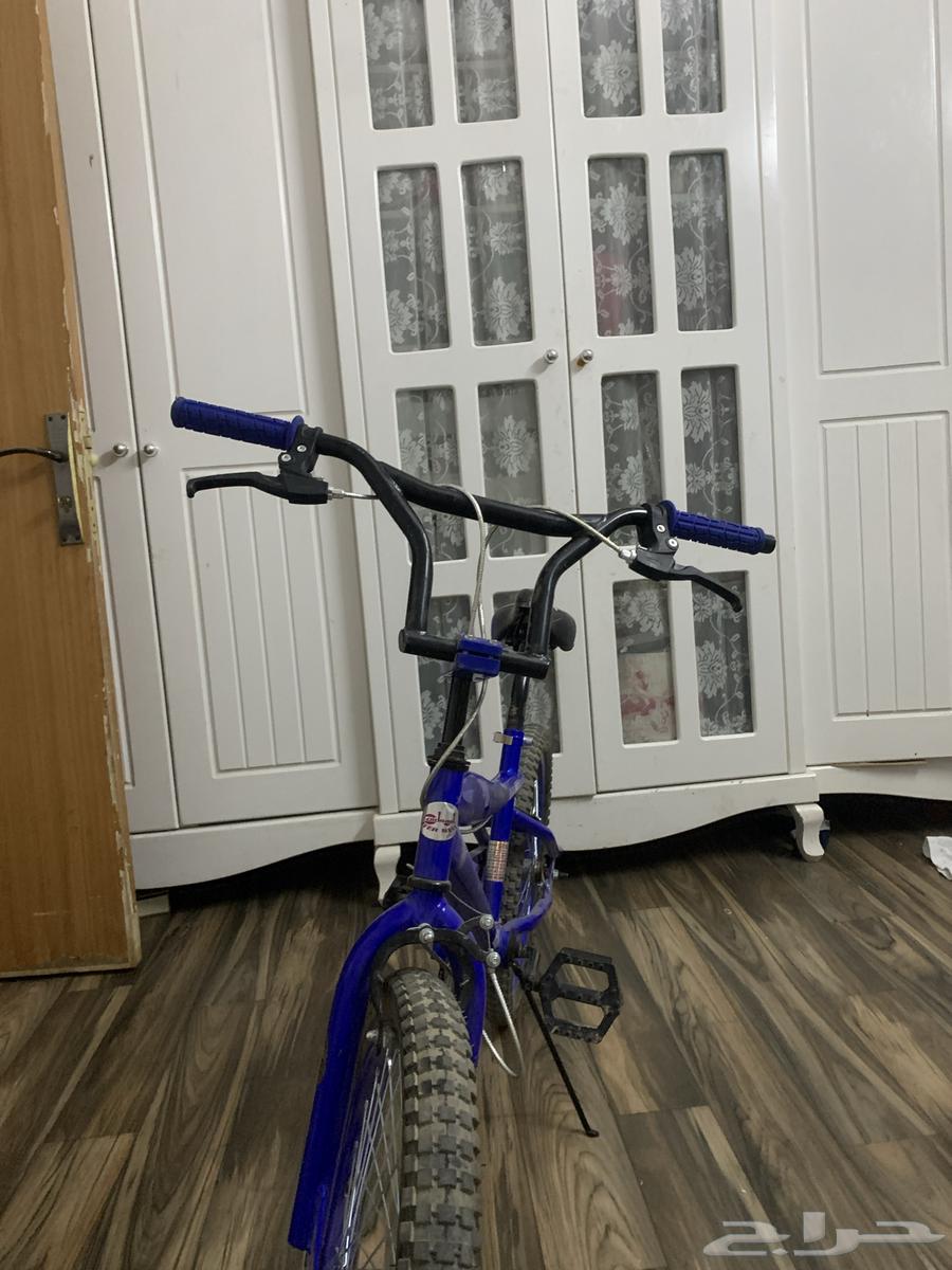 سيكل كوبرا استخدام اسبوع نضيف. وسليم مقاس 2063673384529027110