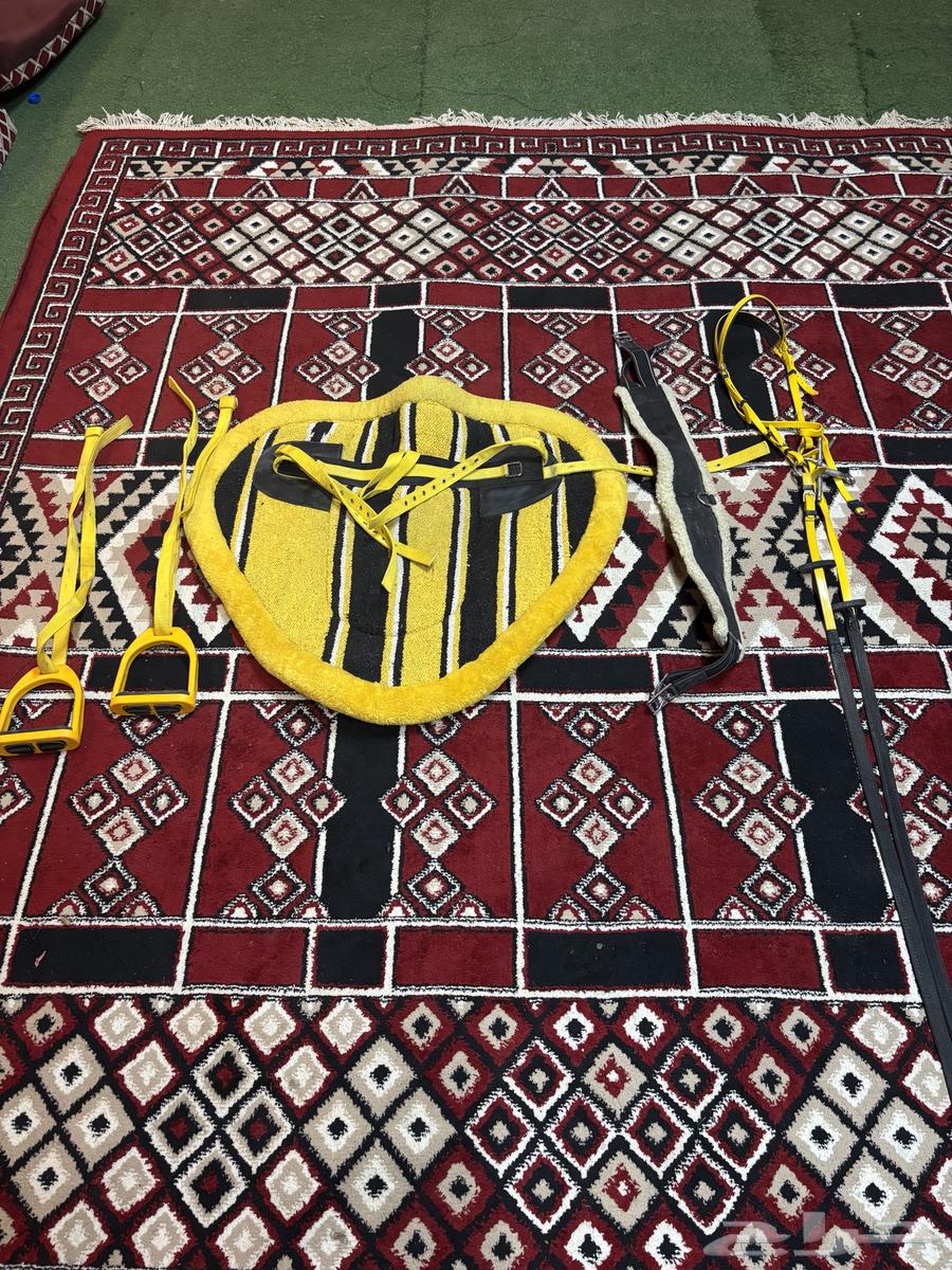 Used riding set63669282181378110