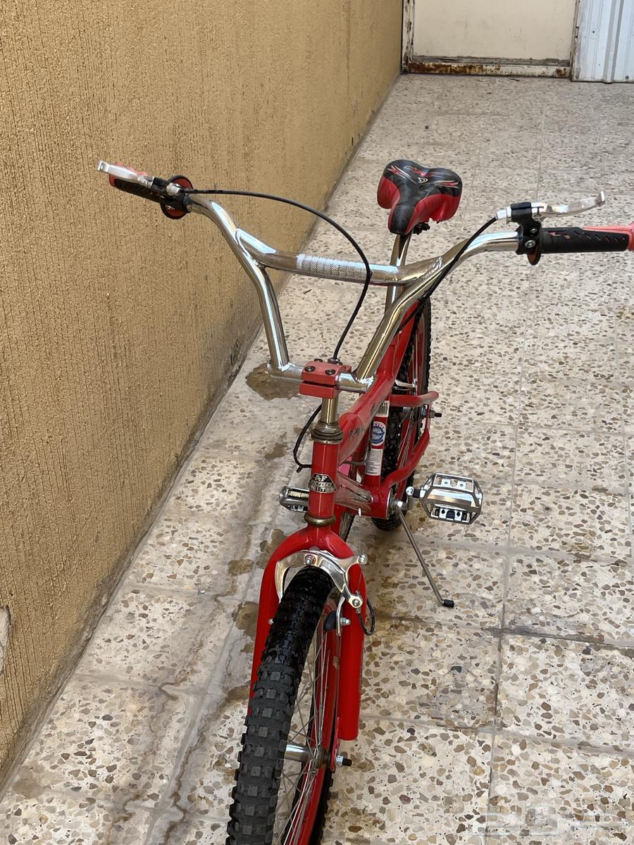 Cobra bicycle63668824074499111