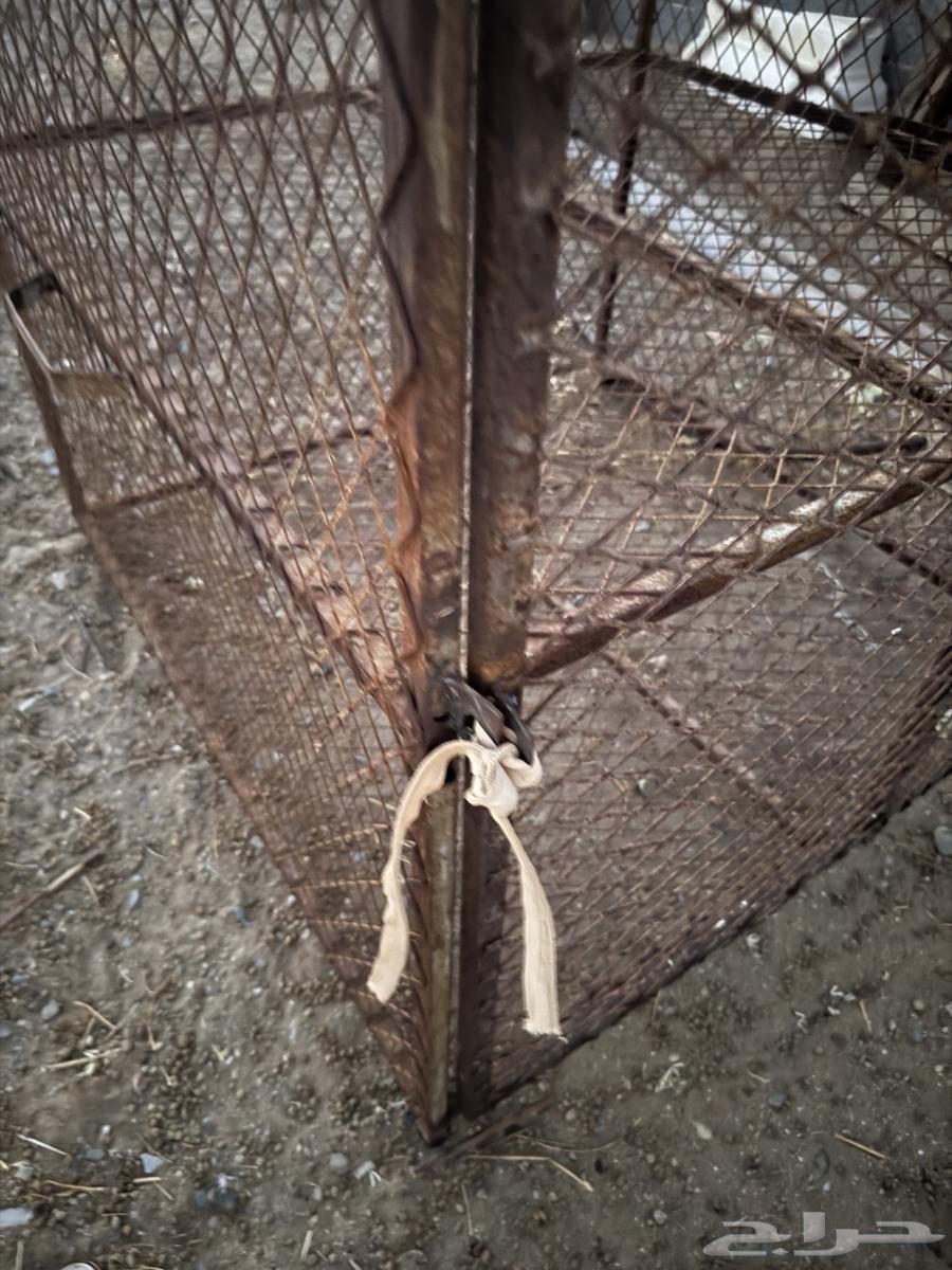 Two-story cage for sale63673474632577111