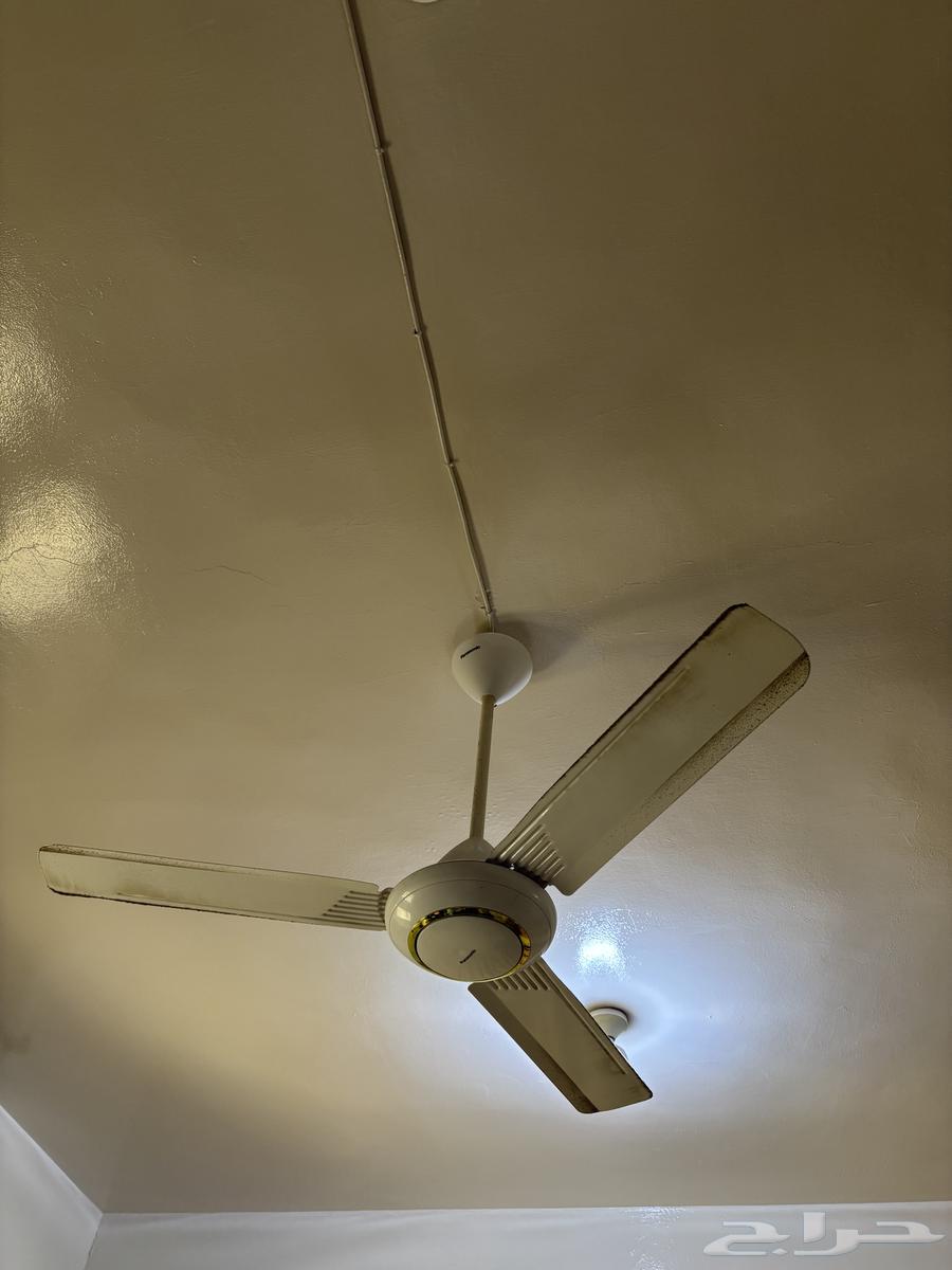 Two clean fans63672091029763112