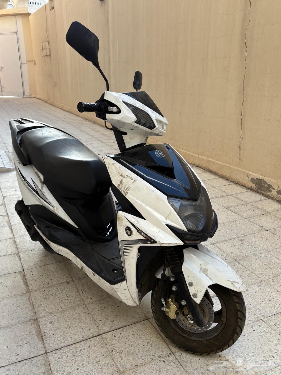 دباب عجيب للبيع63720551788801110
