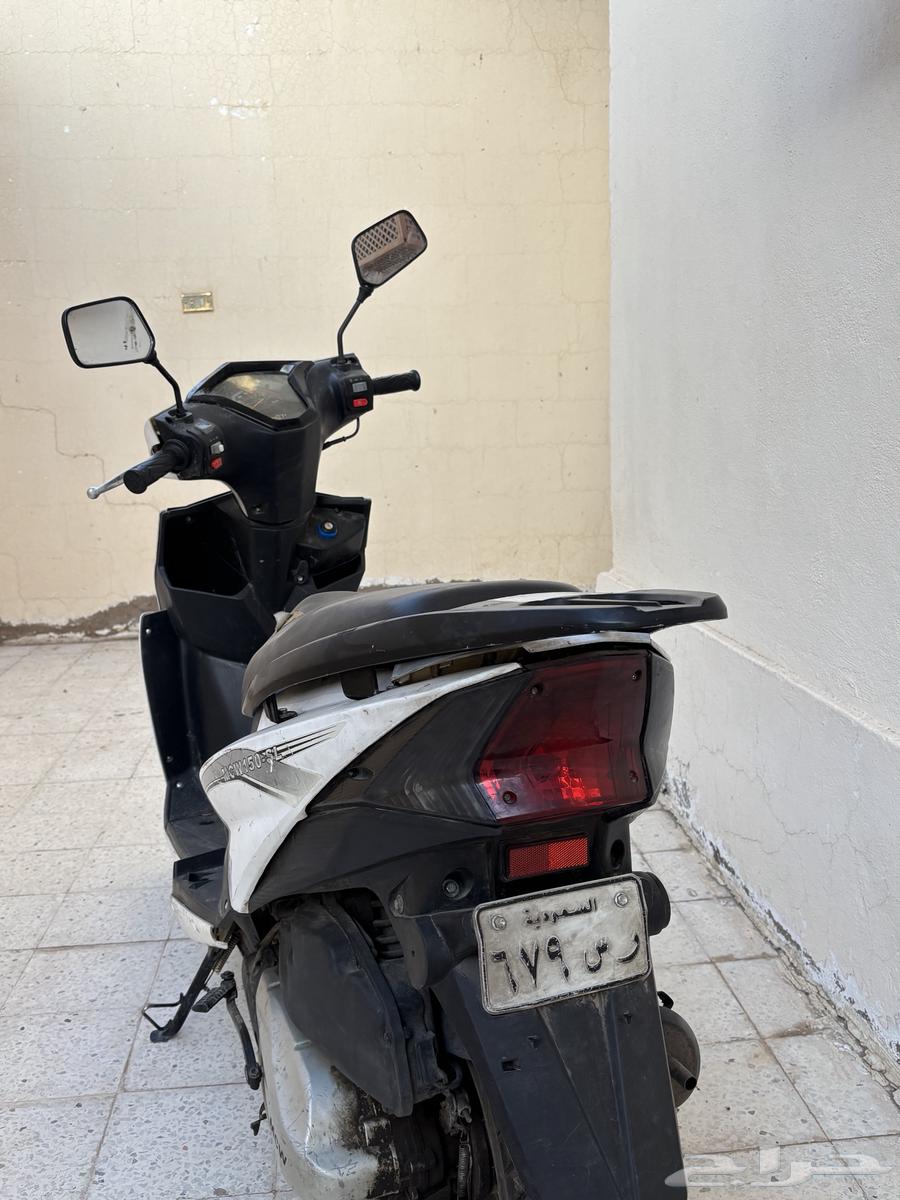 دباب عجيب للبيع63720551788801112