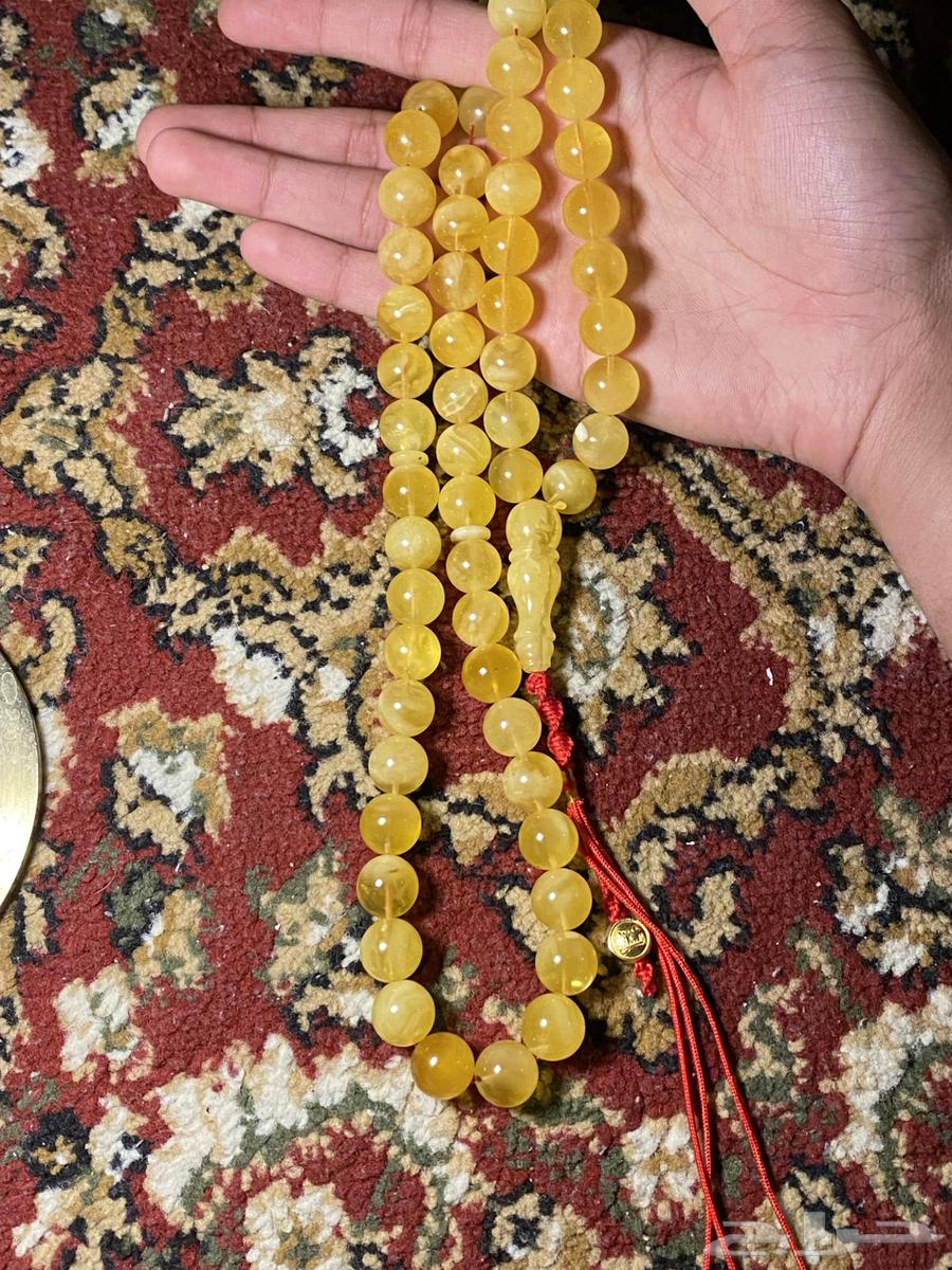 Amber Misbaha for Luqo Al-Ameed63672749752322111