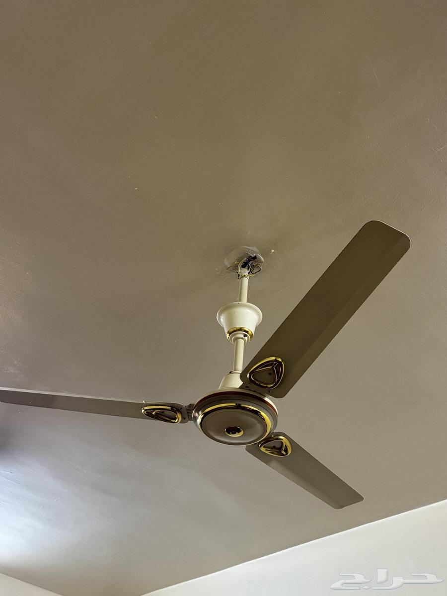 Two clean fans63672091029763111