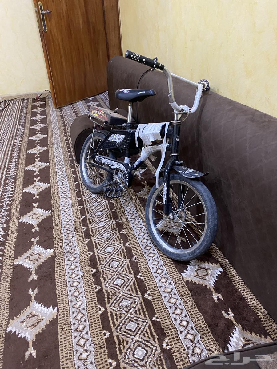 رامبو صغير مستعمل صامل 15063675158247937112
