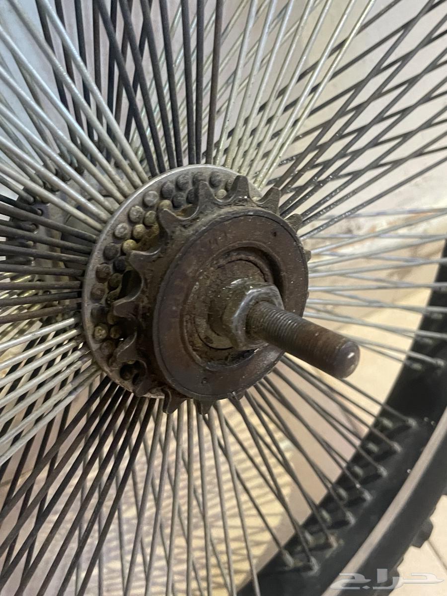 Wheel with motorcycle tire63668122361091112