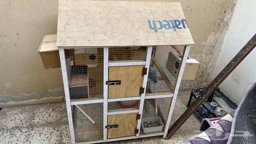 Production Day - With Large Cage63672086857730111