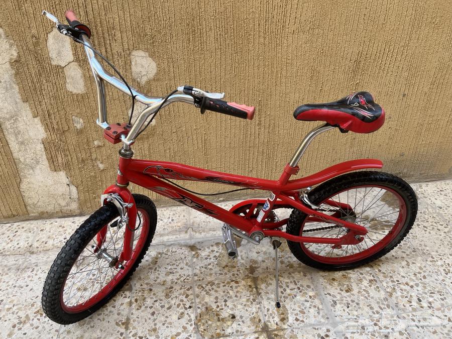 Cobra bicycle63668824074499110