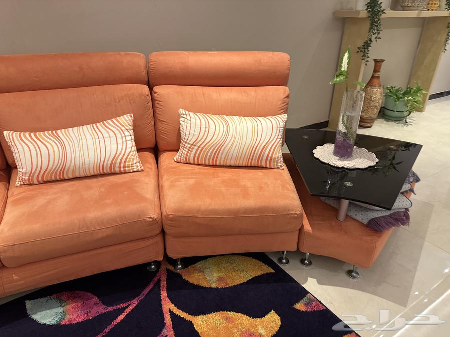 Sofas63675244652163112