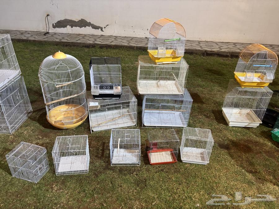 Selling bird decorative net63667807154561112