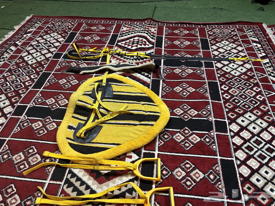 Used riding set63669282181378111