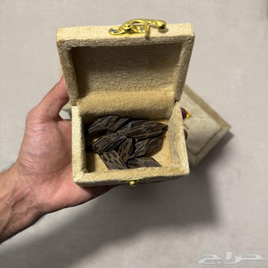 اوقيات تايقر فيتنامي القديم درجة اولى63669735481987112