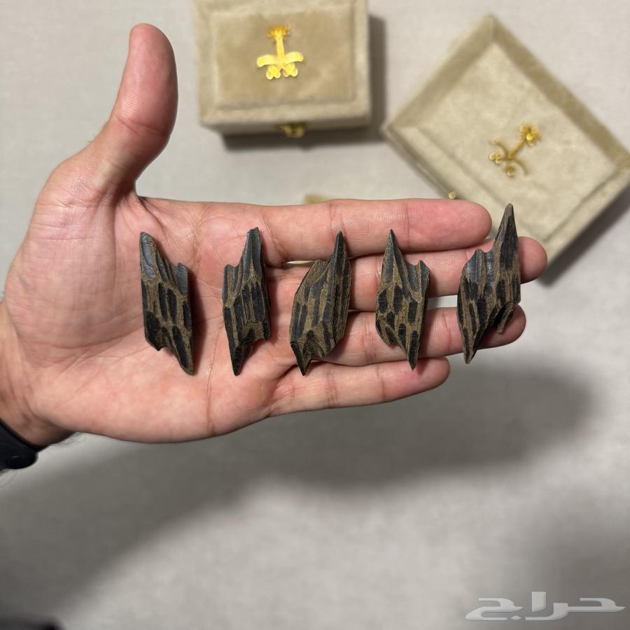اوقيات تايقر فيتنامي القديم درجة اولى63669735481987111