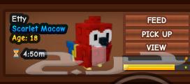 Roblox My Farm Animals offers you on demand63673562465283111