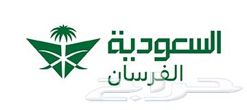 اميال الفرسان ال10 الاف ميل ب620 ريال63670886083458110