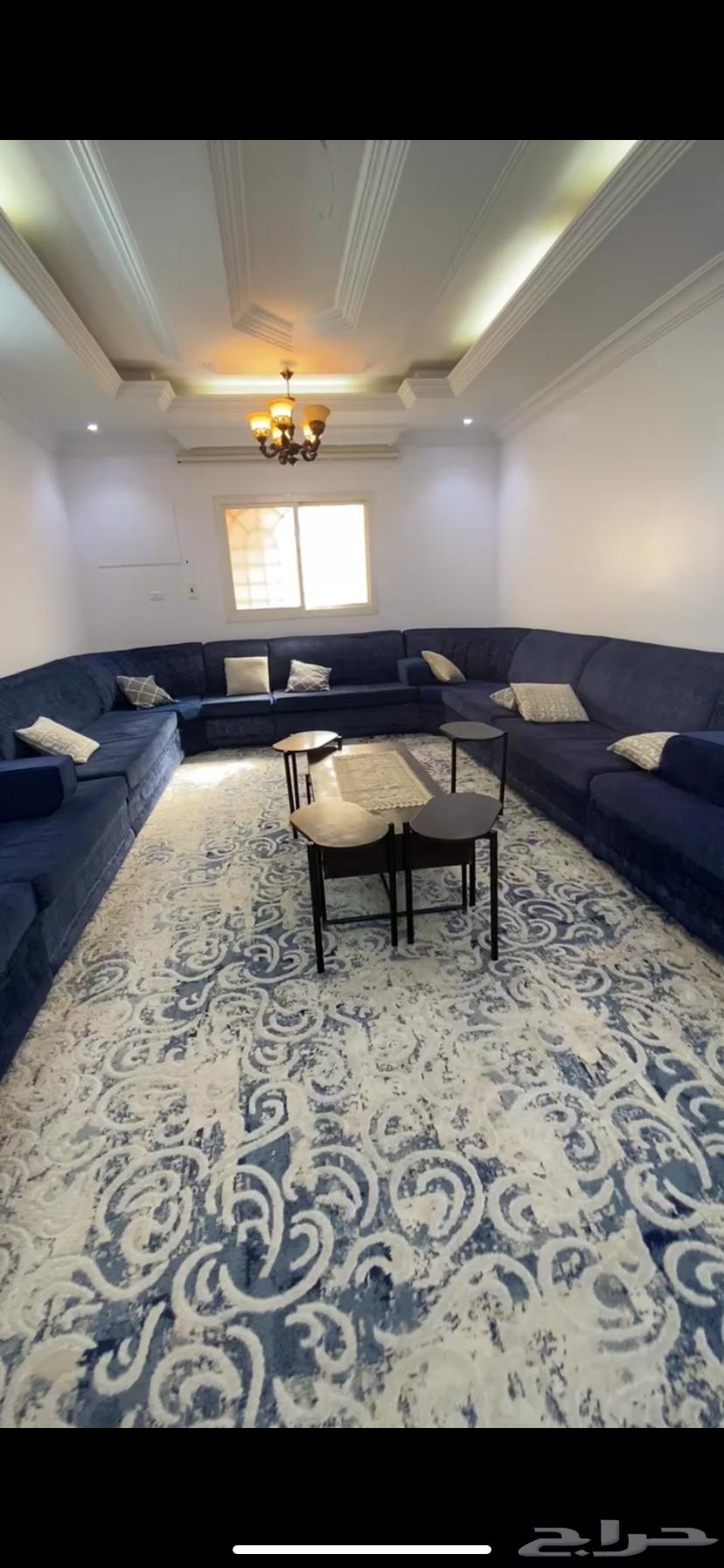 Sofa63667804306051111
