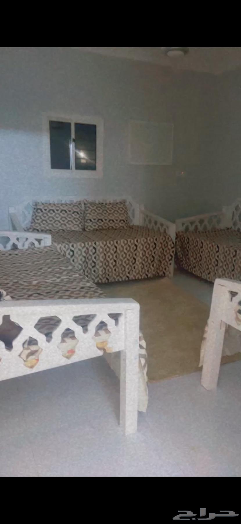 5 Wooden Chairs63668124989569111