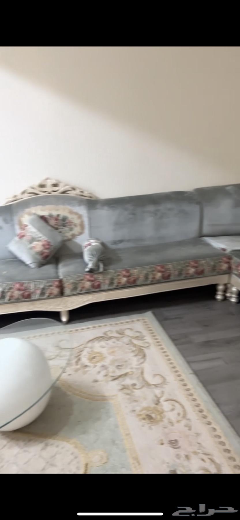 كنب جديد استخدام شهر63668365674627113