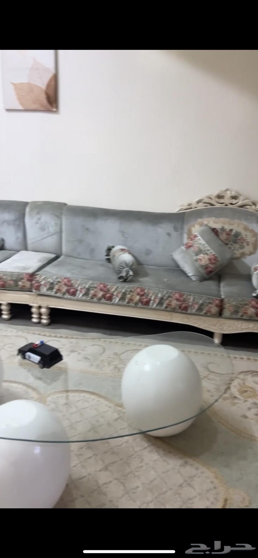 كنب جديد استخدام شهر63668365674627111