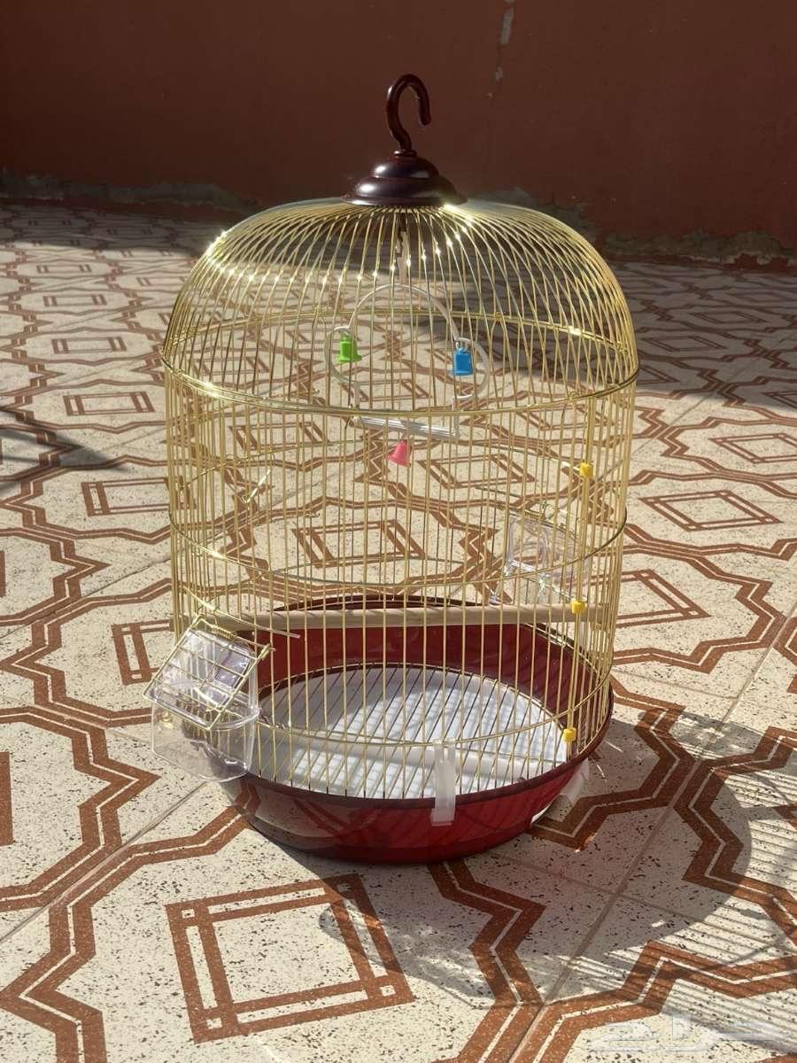 للبيع شبك نضيف63668450186881110